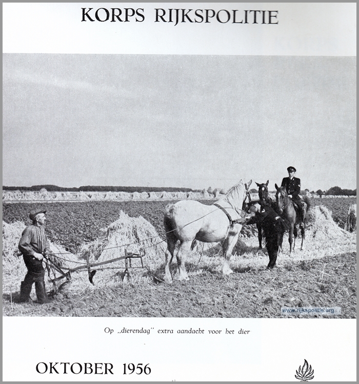 RP Kalender 1956 0010(7V)