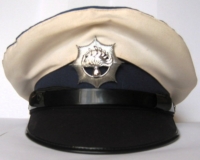 Homepage rp verkeers pet bw (7V)