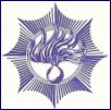 RP Logo ster 100 (VV)